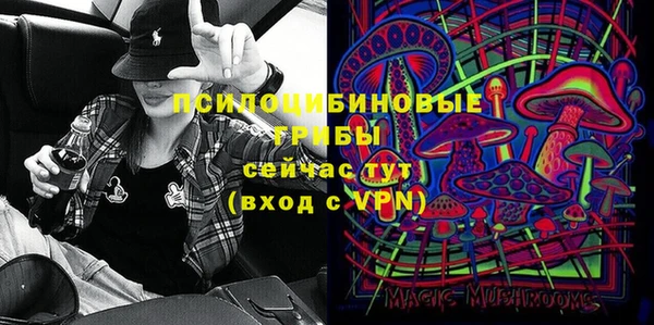 спиды Лагань