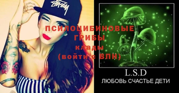 спиды Лагань