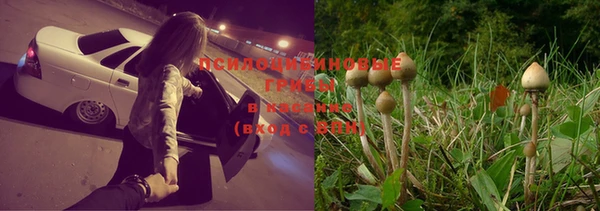 спиды Лагань